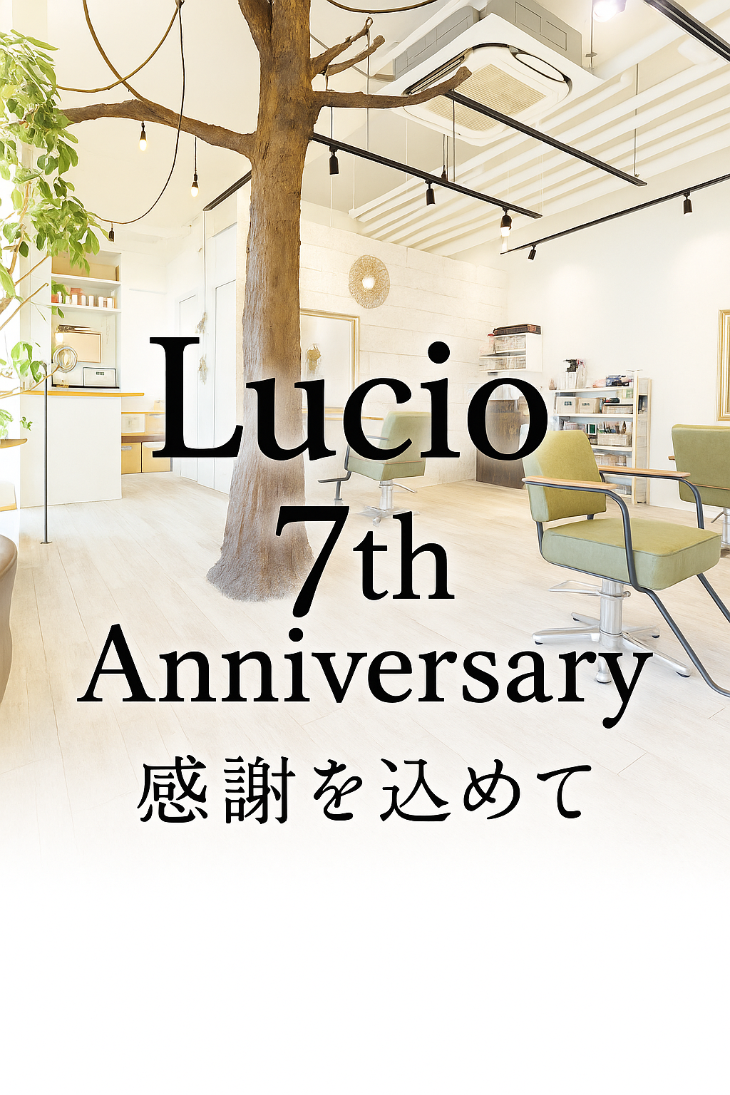 7周年キャンペーン